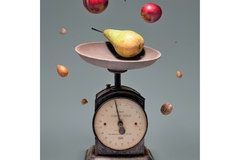 Image Harvard researchers & WHO health guidelines